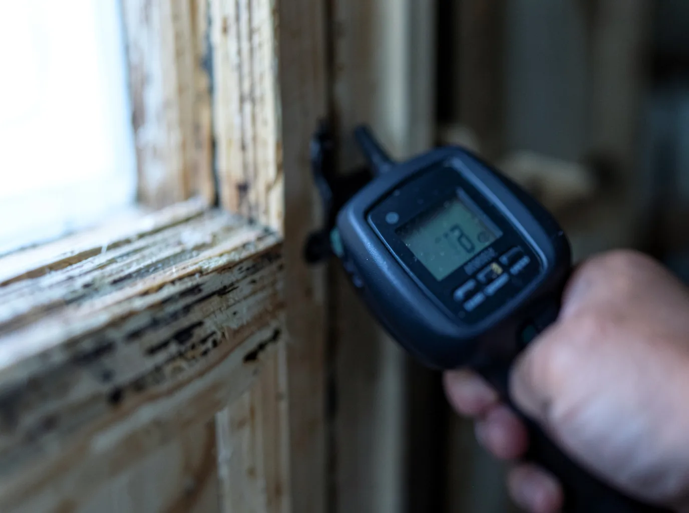 Moisture Inspection And Documentation in Rocky Ridge, OH